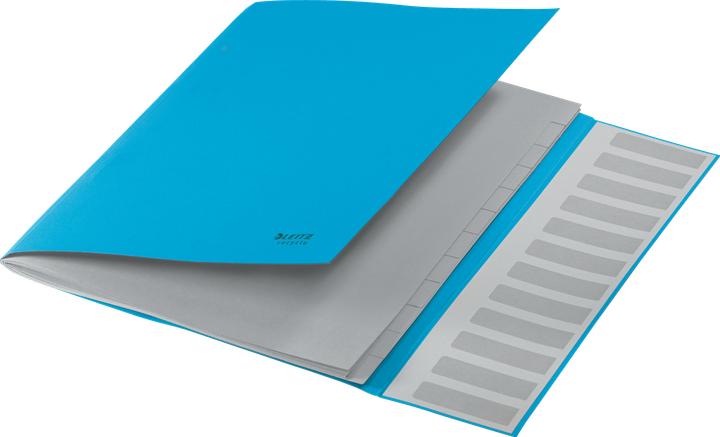 Image du produit Leitz Classeur Recycle A4 bleu (A4, 1x)