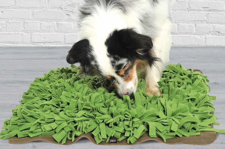 Immagine prodotto Knauder's Best Snooping prato (Giocattolo di attività per cani)