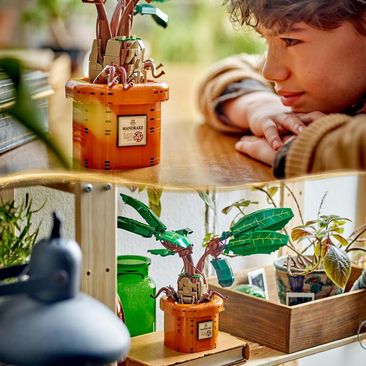 Actual product image LEGO 76433 Magic potion plant: Mandrake (76433, LEGO Harry Potter)