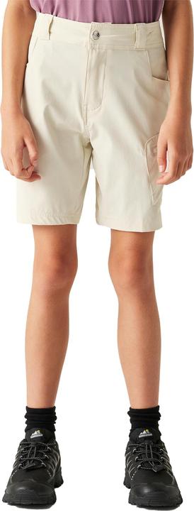 Produktbild Dare2b Reprise III Shorts (164)