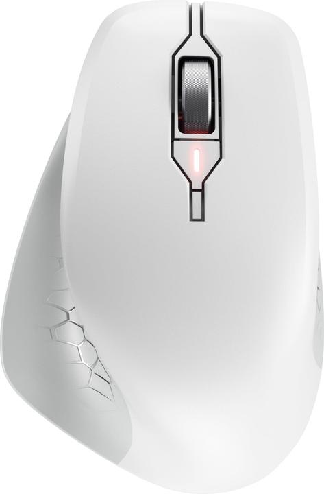 Actual product image CHERRY Mouse STREAM COMFORT Wireless white (Wireless)