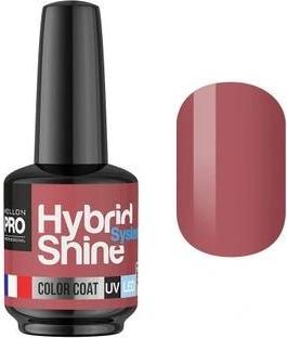 Actual product image Mollon Pro Mol Hss 2/13 - Semi-Permanent Hybrid Shine Nail Polish