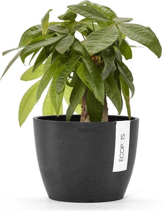 Produktbild Ecopots Stockholm (16 cm)