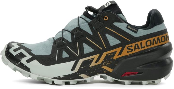 Image du produit Salomon Speedcross 6 GTX - 68434 (46 2/3)