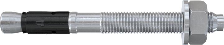 Fischer Bolzenanker FAZ II Plus 12/10 (20 Stk.)