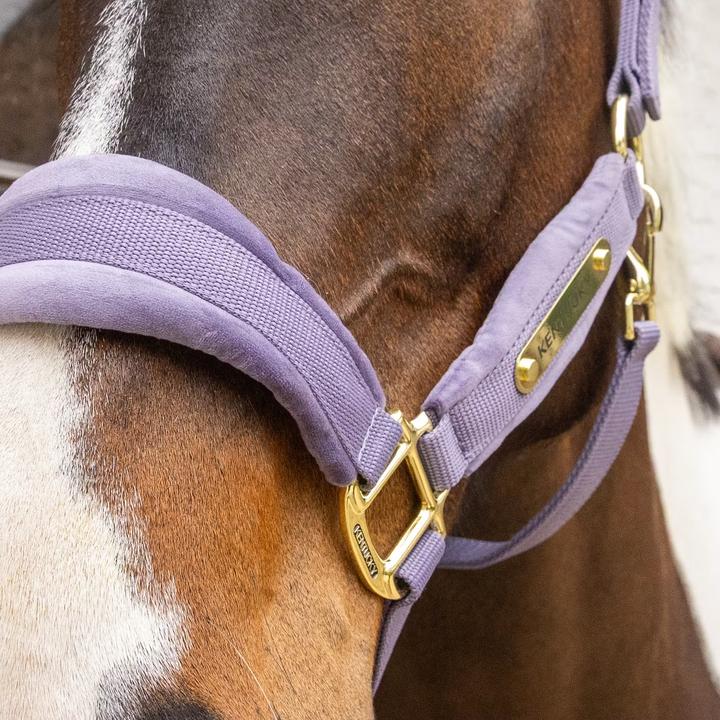 Immagine prodotto Kentucky Horsewear Cavezza in nylon