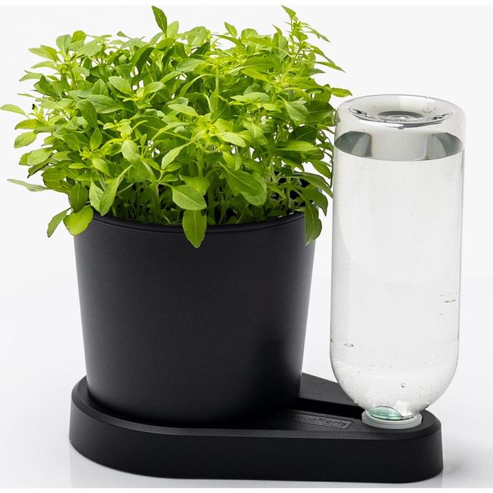 Produktbild Greevi Kräuterheld (10.50 x 21 cm)