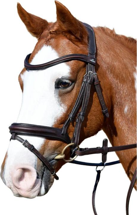 Image du produit Collegiate - Bride pour chevaux COMFITEC