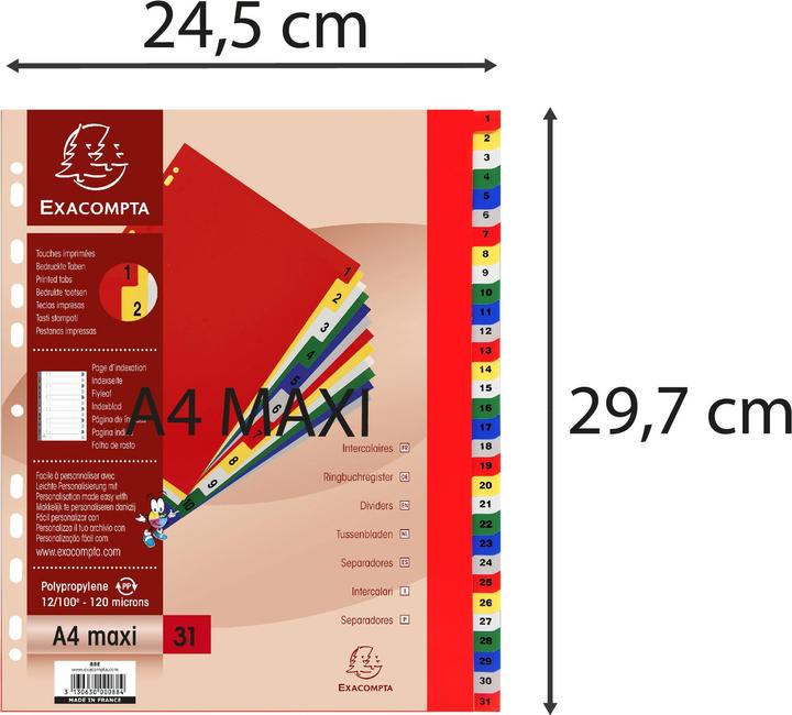 Image du produit Exacompta Intercalaires imprimés numériques PP couleurs 12/100e - 31 positions - A4+ - Assorties vives