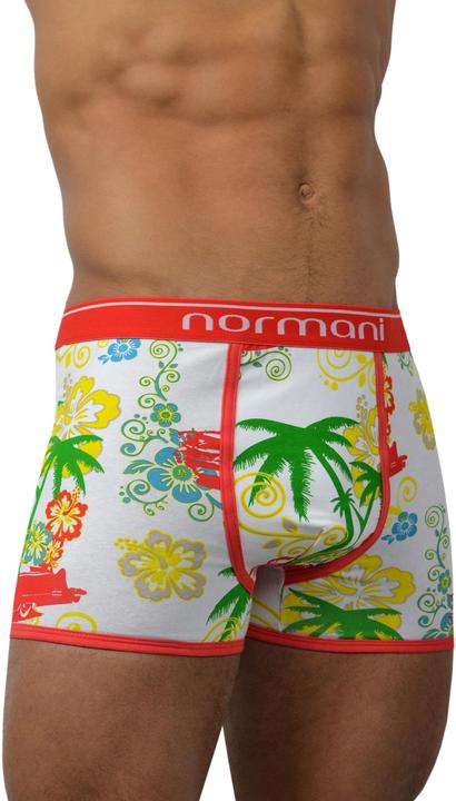 Immagine prodotto Normani 6 pezzi di boxer in cotone retrò (L, confezione da 6)