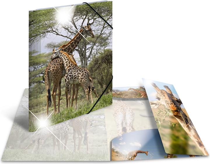 Actual product image HERMA A4 motif folder (A4, 1 x)