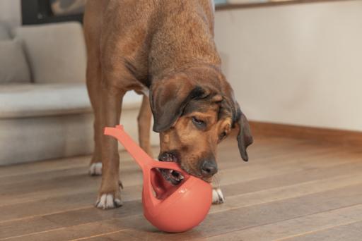 Actual product image Beeztees Rubber dog toy Wiggle-X (Dog chew toy)