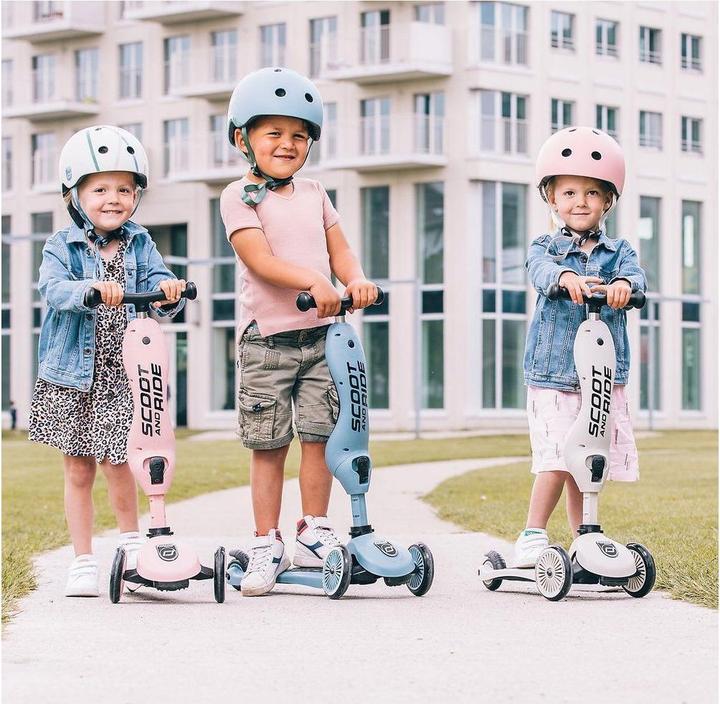 Actual product image Scoot and Ride Ash (45 - 51 cm)