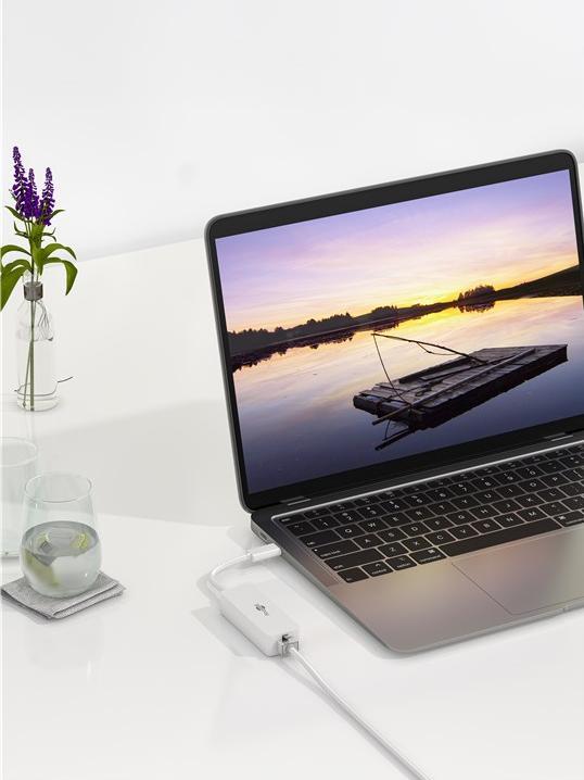 Produktbild Goobay USB-C™ Adapter (USB-C, RJ45 Gigabit Ethernet (1x))