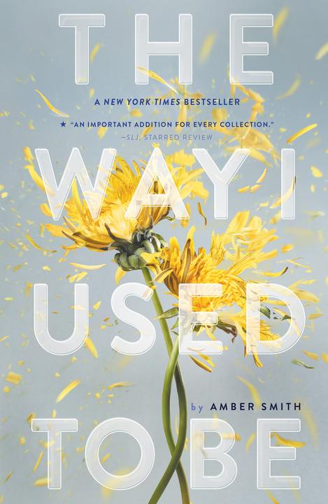 Immagine prodotto The Way I Used to Be (Inglese, Amber Smith, 2017)
