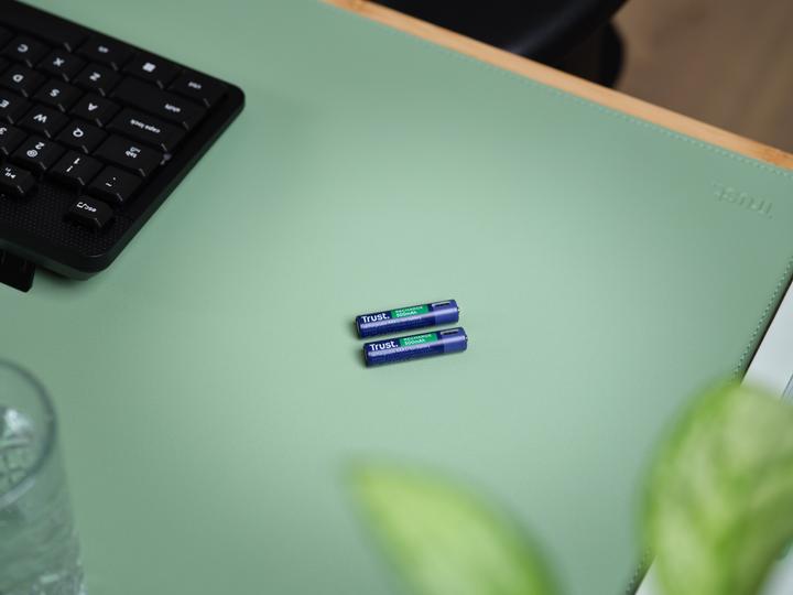Produktbild Trust USB-C Rechargeable Batteries 2p (2 Stk., AAA, 500 mAh)