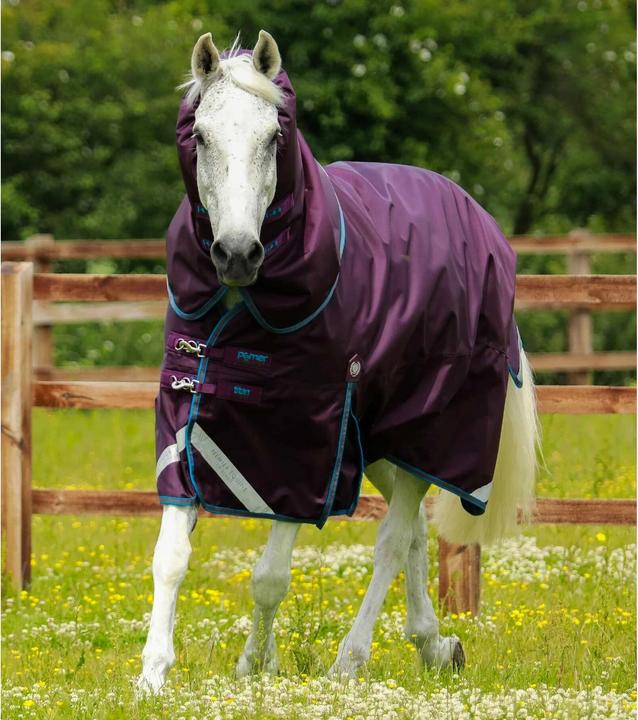Image du produit Premier Equine Titan 200 g