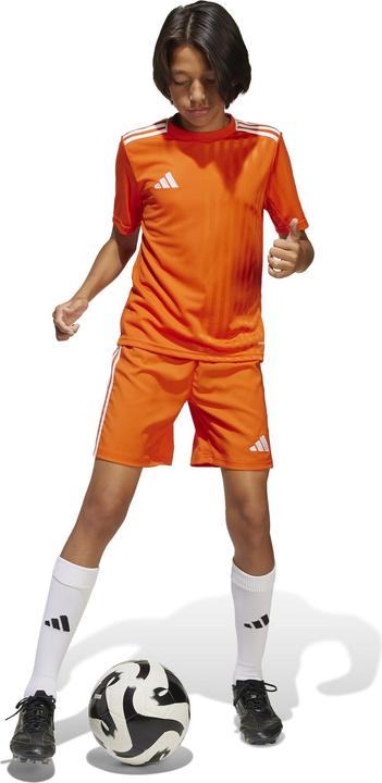 Immagine prodotto adidas Maglia Campeon 25 Bambini (176)