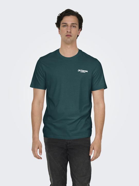 Image du produit Only & Sons T-Shirt Chris Life Kurzarmshirt (S)