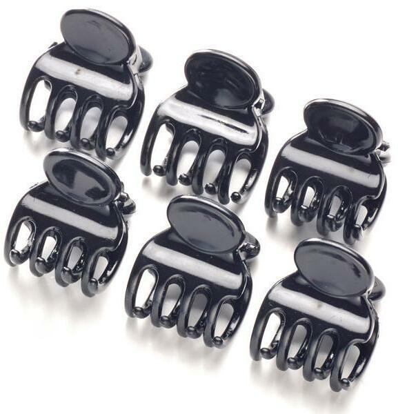 DailyGo Haarklem (6 Pcs.)