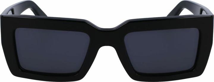 Actual product image Salvatore Ferragamo Ladies' Sunglasses SF1108S-5421001 Ã¸ 54 mm