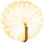 Immagine prodotto Gingko Smart Accordion