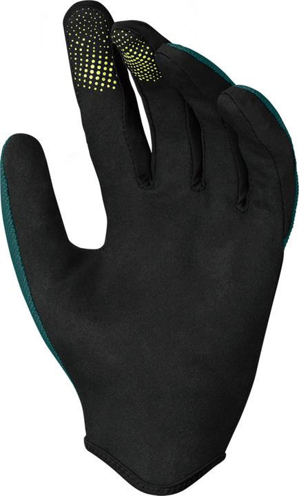 Actual product image iXS carve (S)