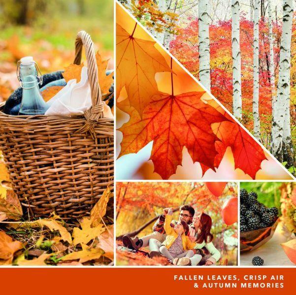 Image du produit Yankee Candle Feuilles d'automne (623 g)