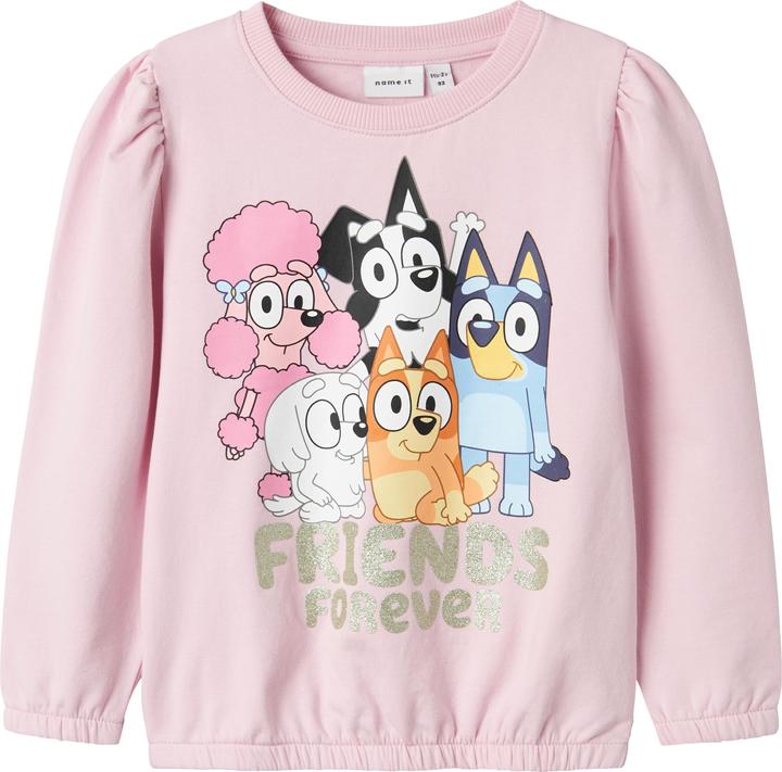 Name it Bluey Sweatshirt