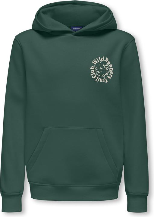 Produktbild Only & Sons Junior OSJDANIEL Sweatshirt Kapuzenpullover (146, 152)