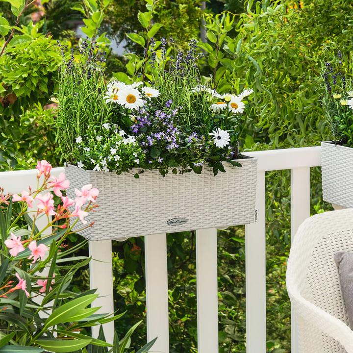 Produktbild Lechuza Balconera Cottage (50 x 19 x 19 cm)