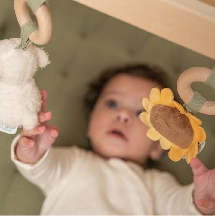 Immagine prodotto Little Dutch Gioca al trapezio