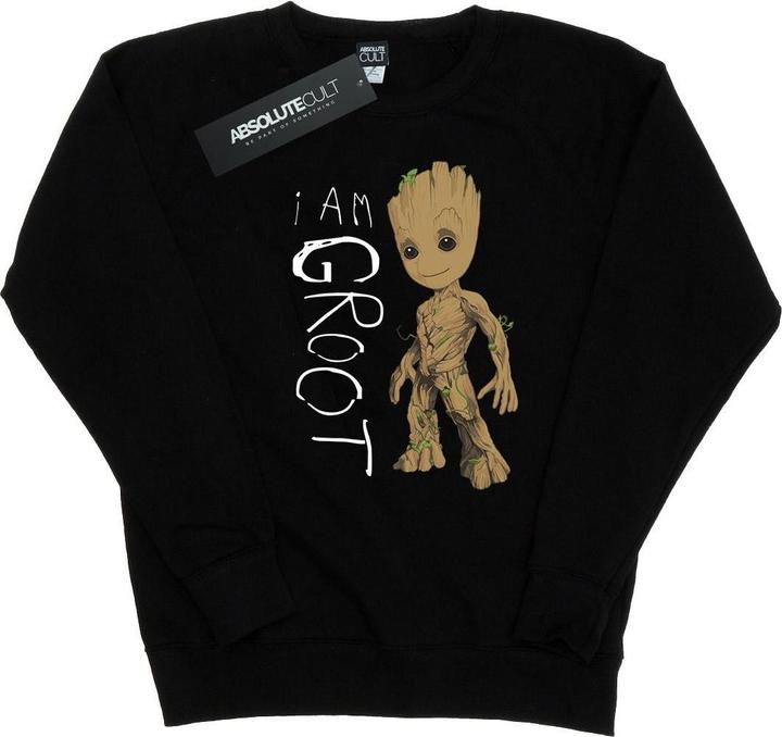 Produktbild Guardians Of The Galaxy I Am Groot Scribbles Sweatshirt (L)