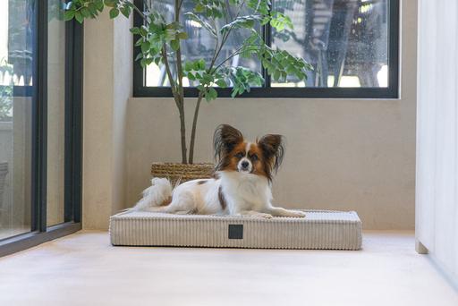 Image du produit Designed by Lotte Coussin pour cage Orthopaed Ribbed (Chien)