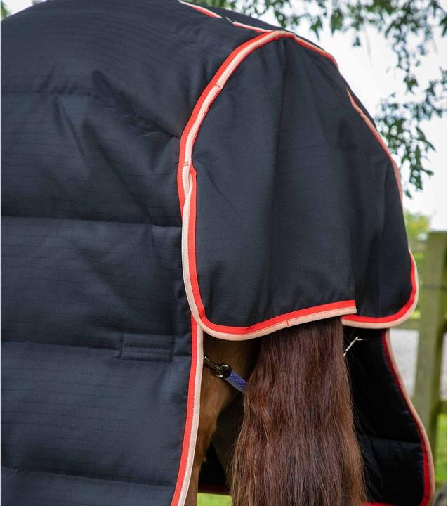 Immagine prodotto Premier Equine Stable Buster 200g