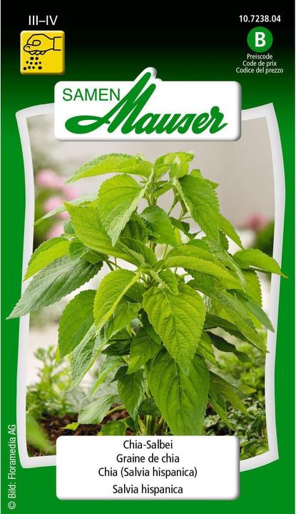 Produktbild Samen Mauser Chia-Salbei (Kräutersamen)