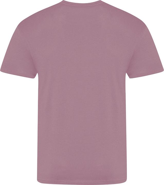 Image du produit Awdis The 100 Tshirt (XXL)