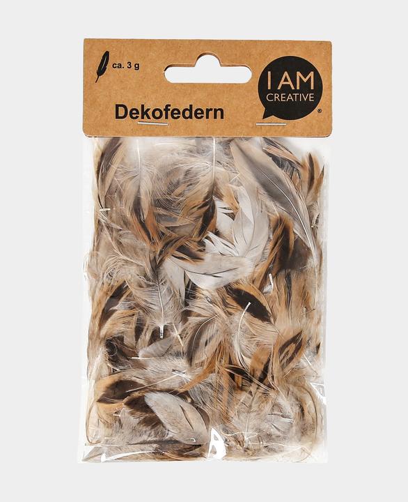 Actual product image I Am Creative Decorative feathers