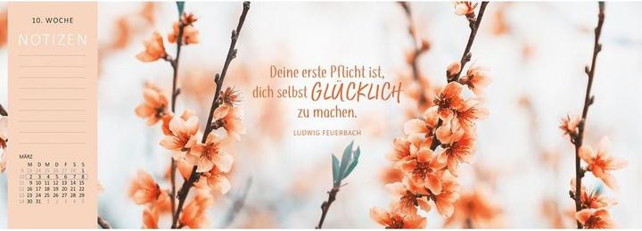 Actual product image Tischkalender Heute ist mein Lieblingstag! 2026