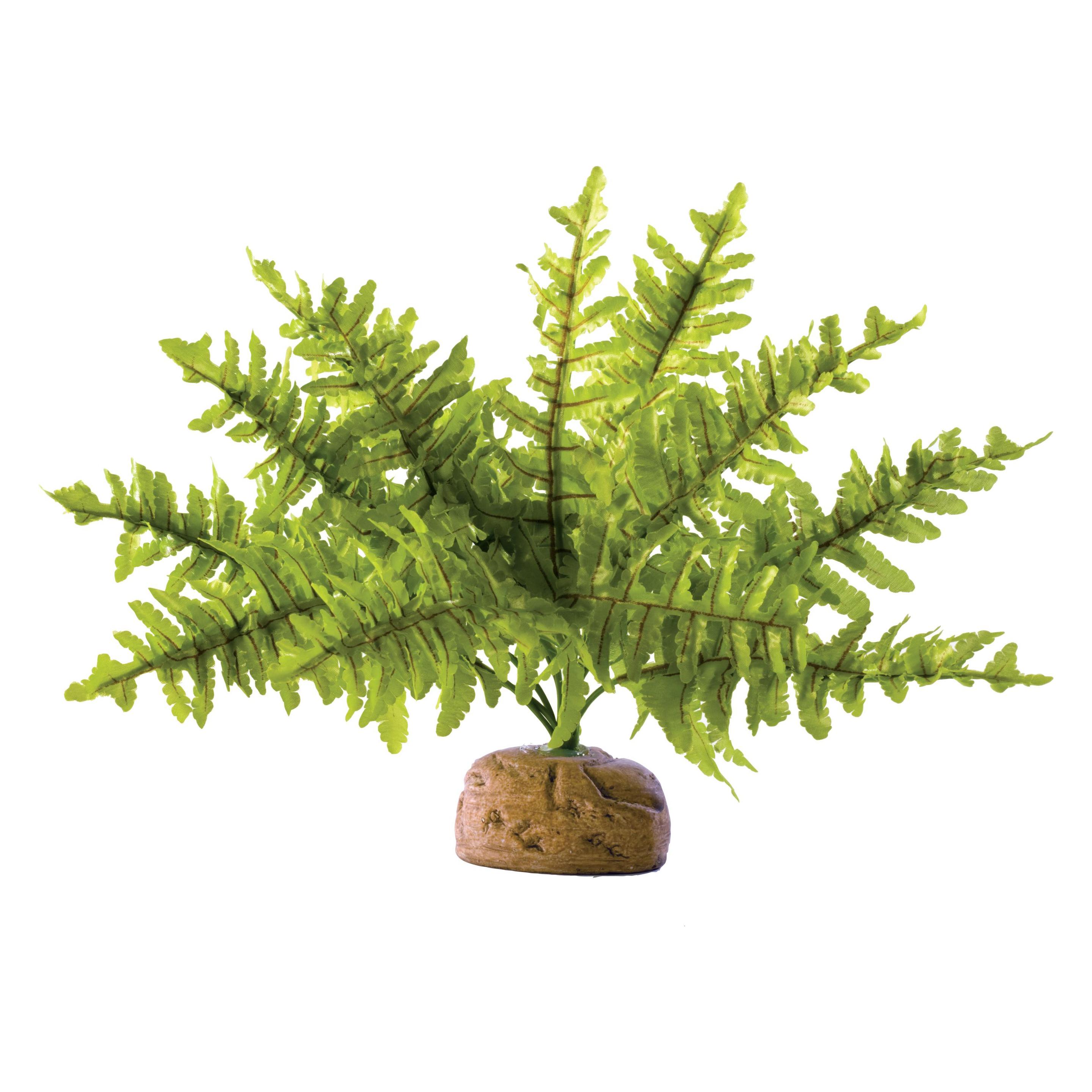 Exo Terra Boston Fern S, Terrarium Decoratie