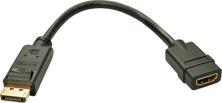 Produktbild Lindy DP zu (0.15 m, DisplayPort, HDMI, 1.3a)