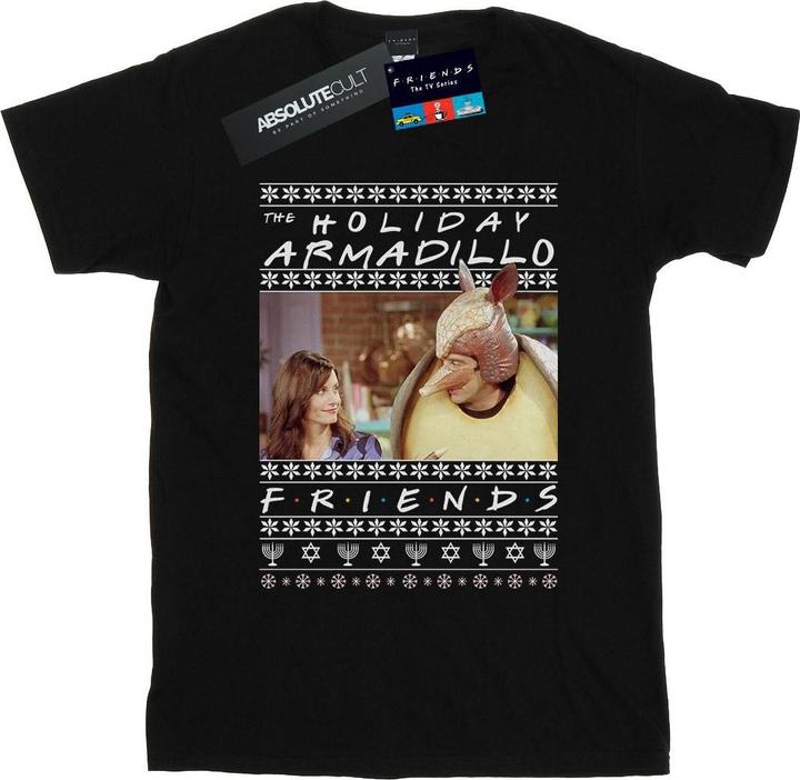 Actual product image Friends Womens/Ladies Fair Isle Holiday Armadillo Cotton Boyfriend T-Shirt (XXL)