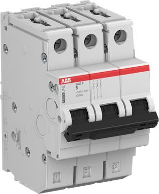Actual product image ABB S403P-B3