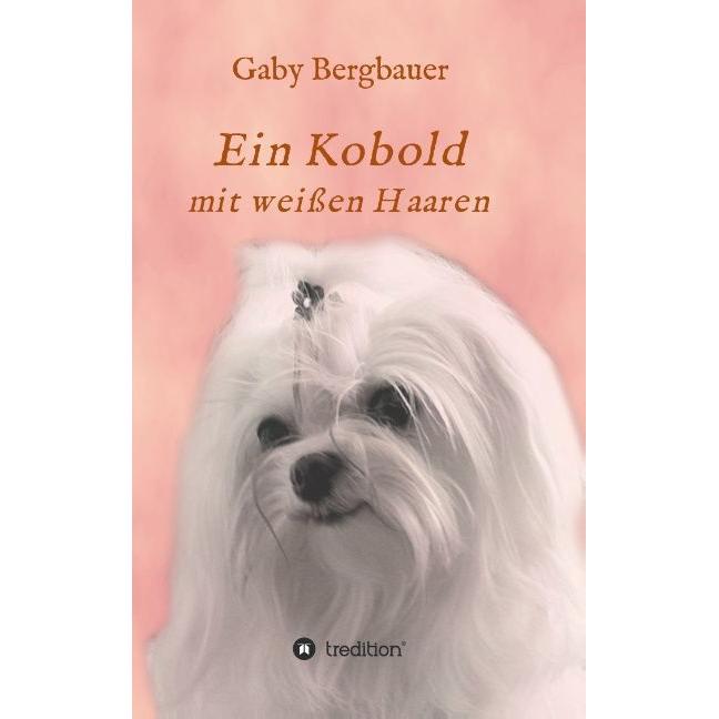 Ein Kobold mit weissen Haaren, Belletristik von Gabriela Bergbauer