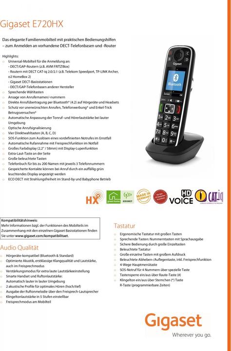Actual product image Gigaset E720HX