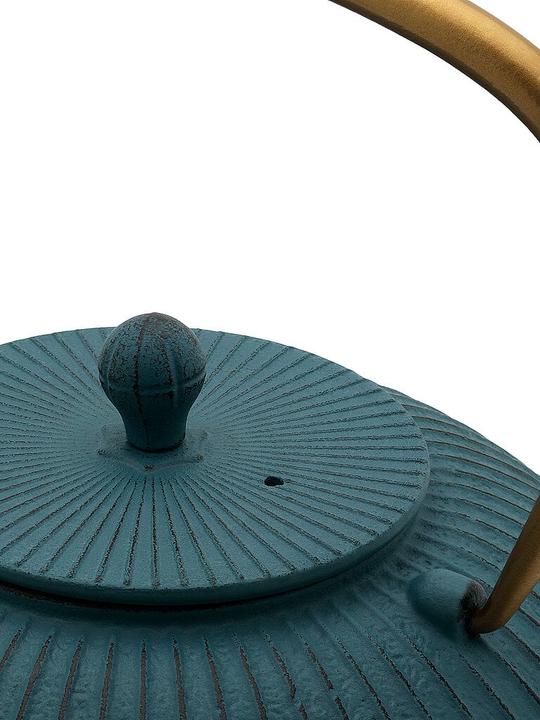 Actual product image Bredemeijer Linhai (1.10 l)