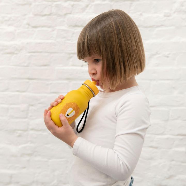 Actual product image Trixie Bottle (0.35 l)