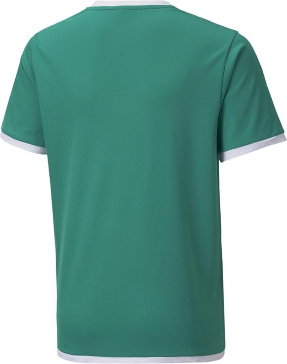 Productafbeelding Puma teamLIGA Jersey Jr-704925 (140)