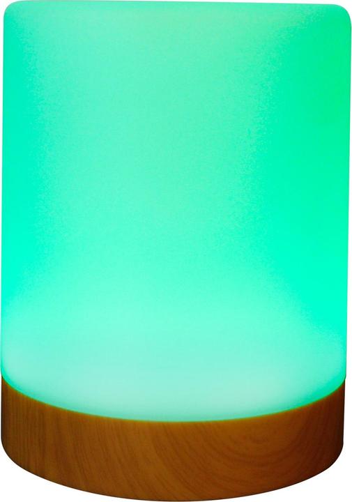 Actual product image RealPower Ambiente Light 200,RGB with remote control (Device-specific remote control, Infrared)