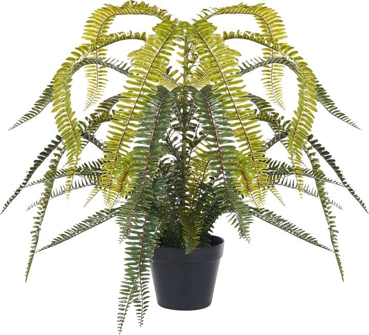 Beliani Fern Leaf Plant (105 cm)